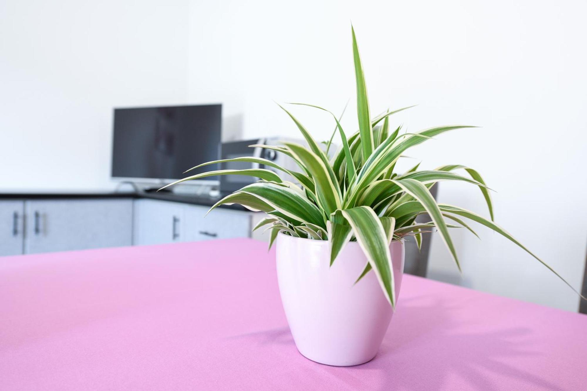 Breeze Apartment Десенцано дел Гарда Екстериор снимка